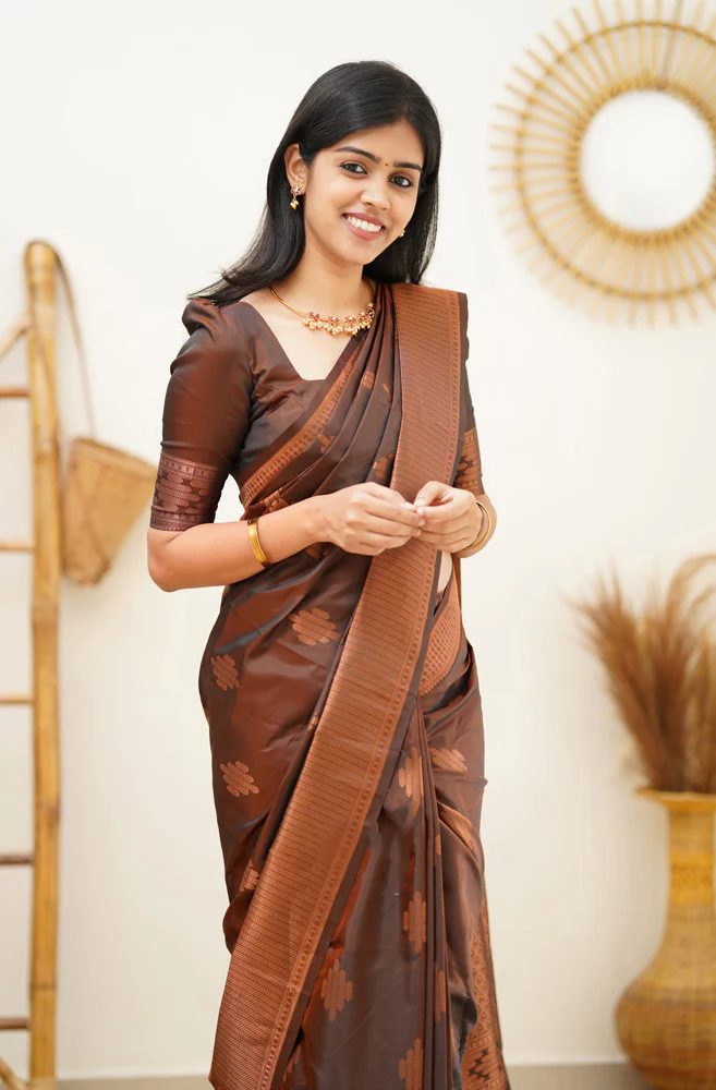 Adorning Brown Soft Silk Saree With Gratifying Blouse Piece - Image 3