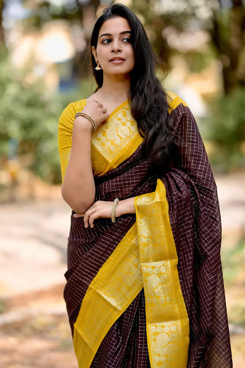 Amazing Brown Soft Silk Saree With Captivating Blouse Piece - Image 2