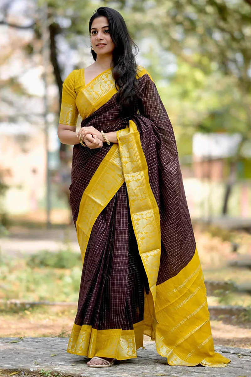 Amazing Brown Soft Silk Saree With Captivating Blouse Piece - Image 3