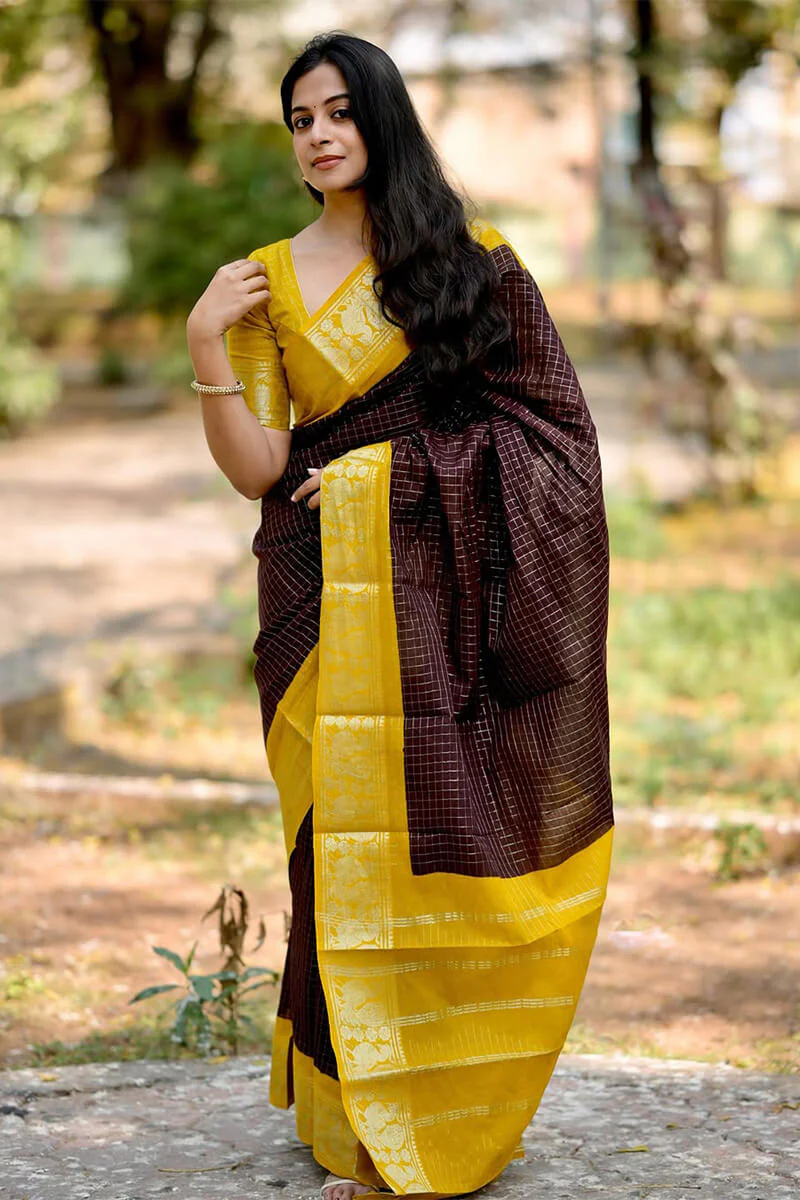 Amazing Brown Soft Silk Saree With Captivating Blouse Piece - Image 4