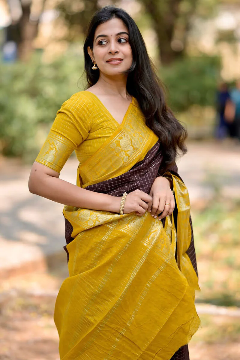 Amazing Brown Soft Silk Saree With Captivating Blouse Piece - Image 6