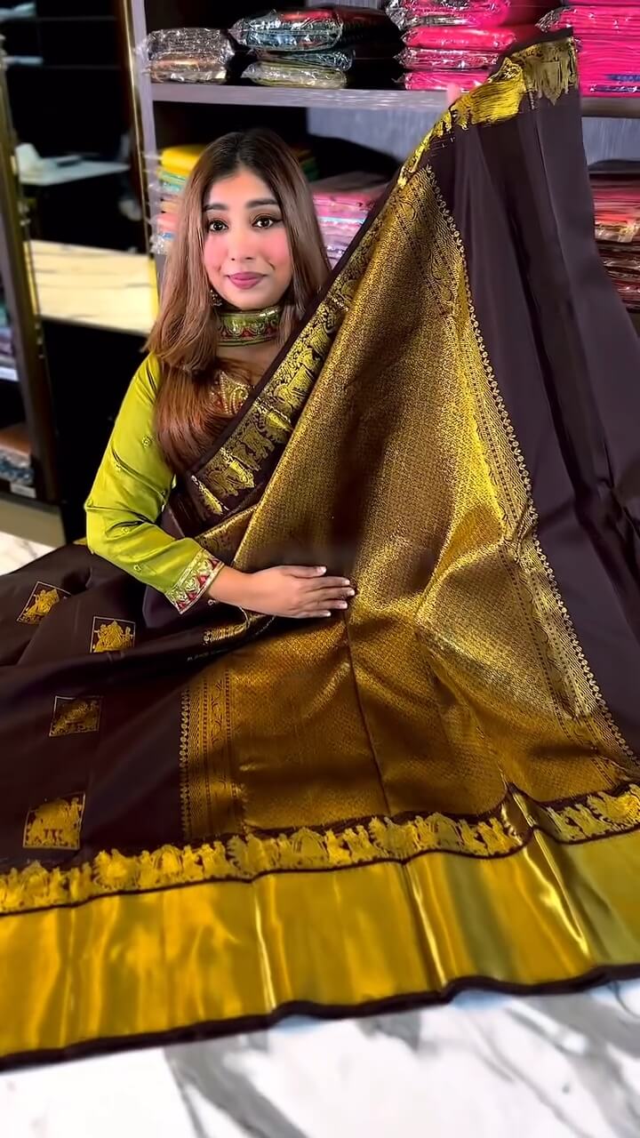 Artistic Brown Soft Banarasi Silk Saree With Snappy Blouse Piece - Image 3