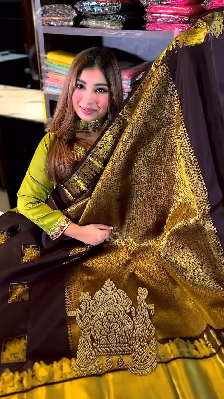 Artistic Brown Soft Banarasi Silk Saree With Snappy Blouse Piece - Image 6