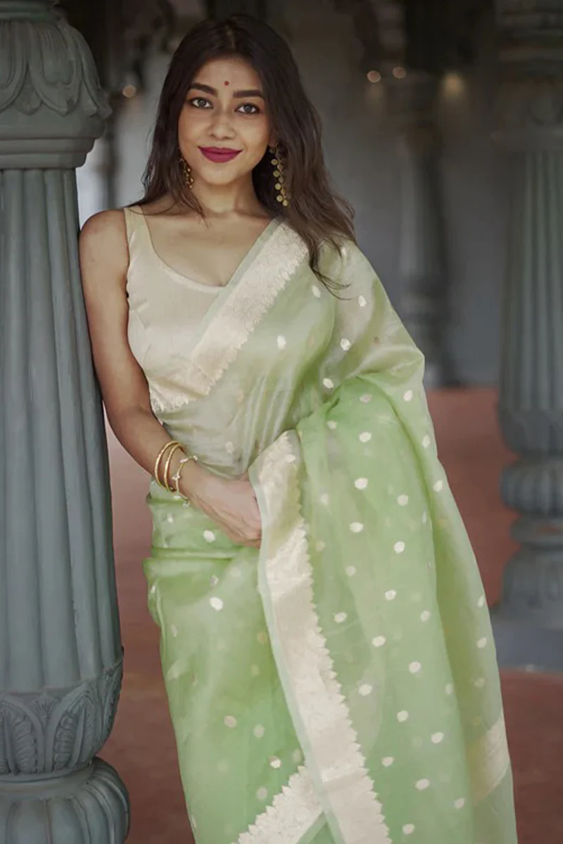 Delightful Pista Linen Silk Saree With Fairytale Blouse Piece - Image 2