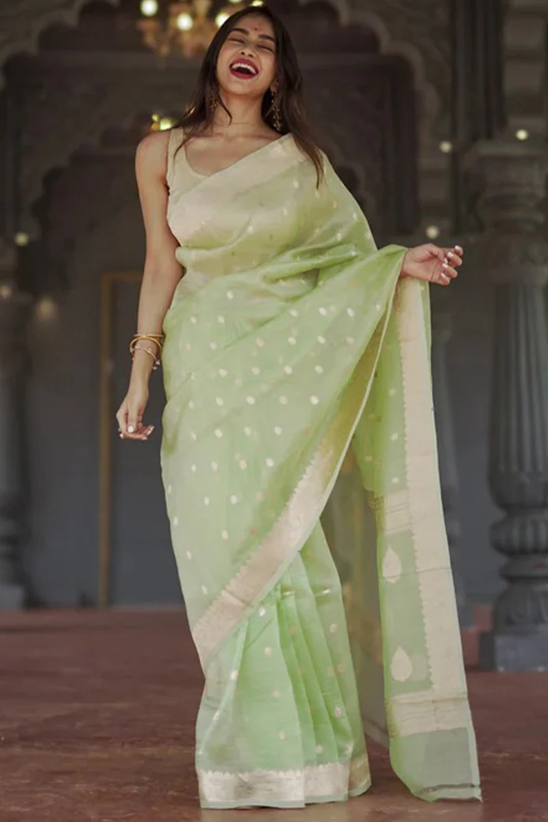 Delightful Pista Linen Silk Saree With Fairytale Blouse Piece - Image 3