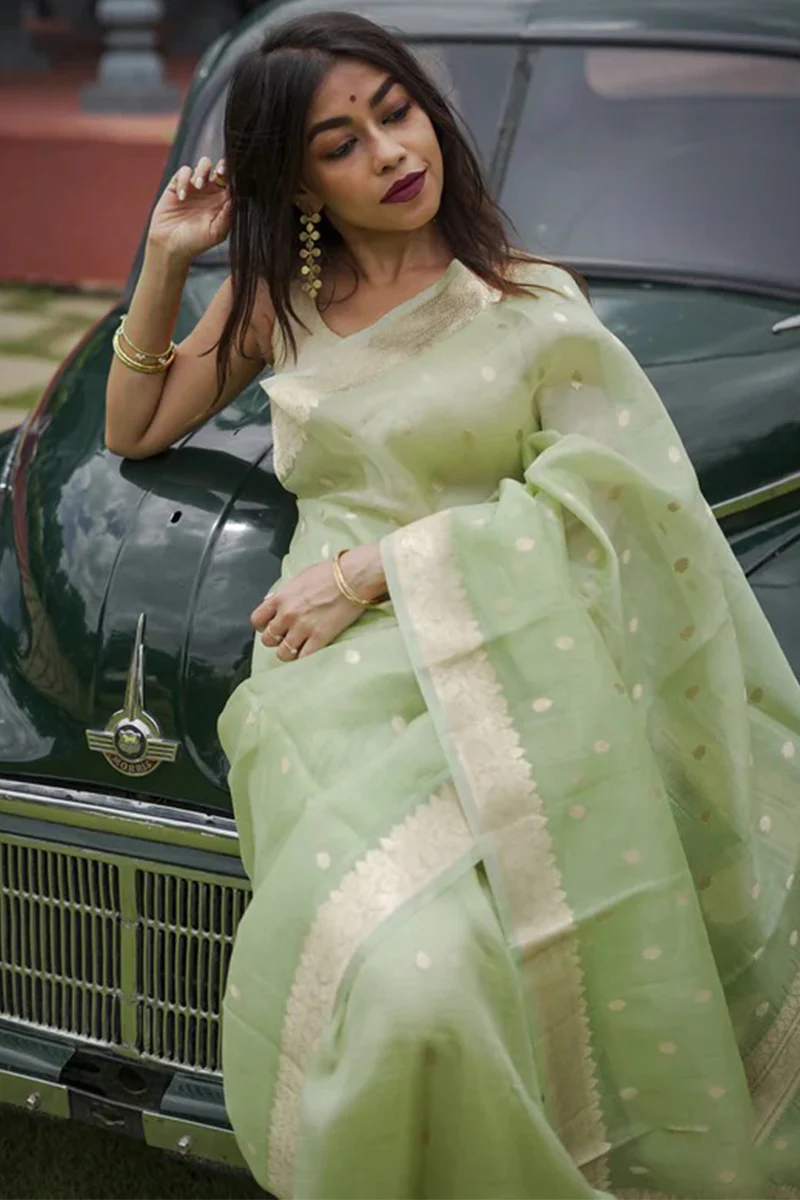 Delightful Pista Linen Silk Saree With Fairytale Blouse Piece - Image 6