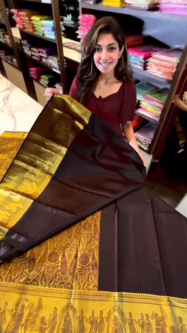 Gratifying Brown Soft Banarasi Silk Saree With Alluring Blouse Piece - Image 6