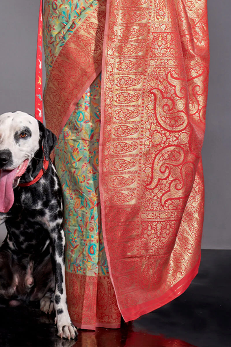 Moiety Pista Pashmina saree With Pleasurable Blouse Piece - Image 3