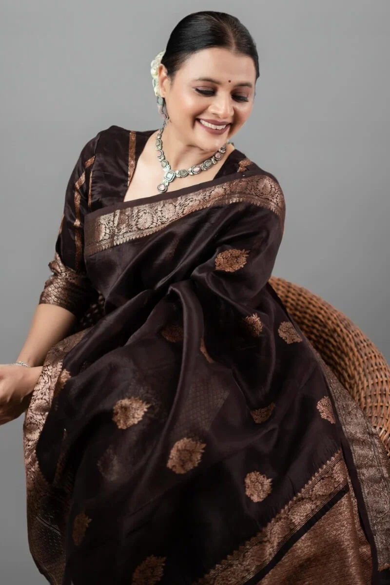 Ravishing Brown Soft Silk Saree With Designer Blouse Piece - Image 3
