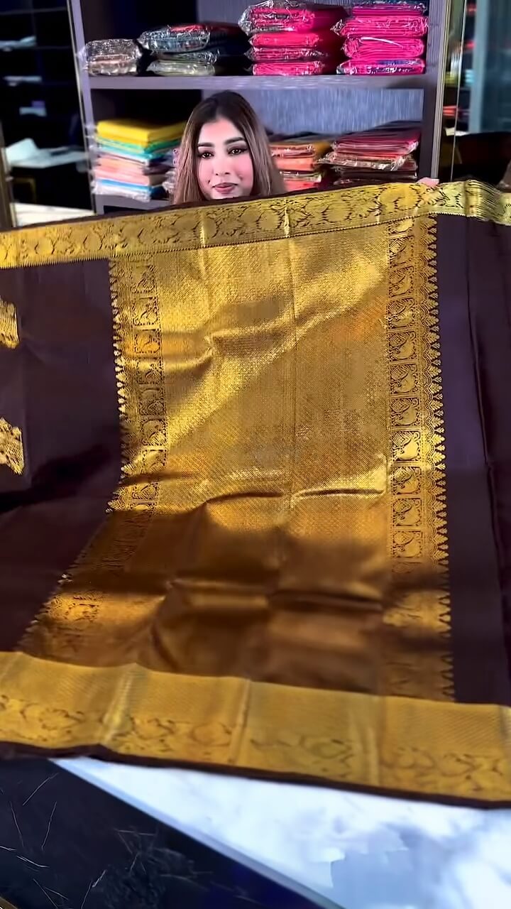 Woebegone Brown Soft Banarasi Silk Saree With Angelic Blouse Piece - Image 3
