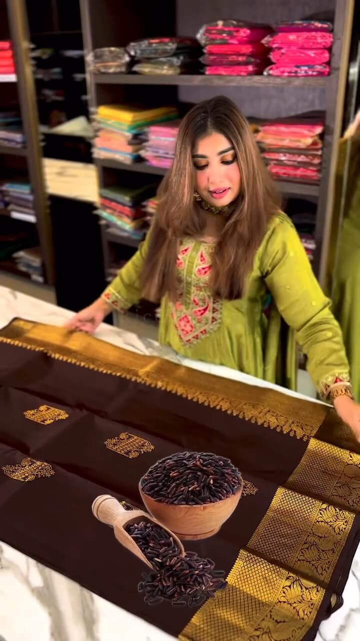Woebegone Brown Soft Banarasi Silk Saree With Angelic Blouse Piece - Image 6